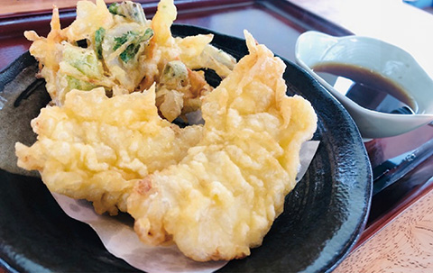 なまず天