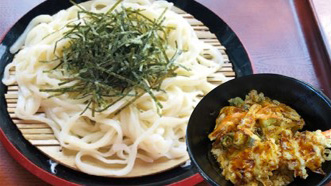ざるうどん　＋　ミニ天丼